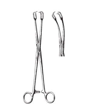 Pinza uterina SCHROEDER (POZZI) - Ecucomed - Equipos e Instrumental ...